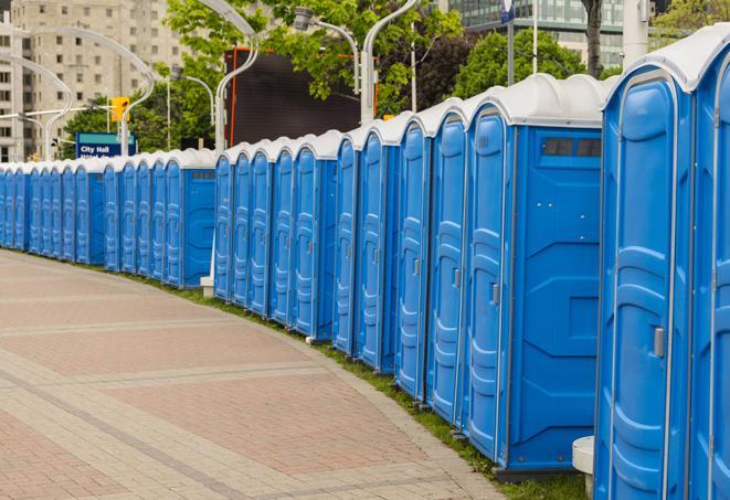 portable restrooms with sink and hand sanitizer stations, available at a festival in Elsmere